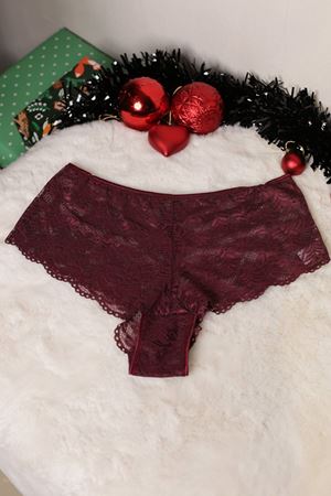 RENKTE BÜYÜK BEDEN MÜRDÜM DANTELLİ KÜLOT