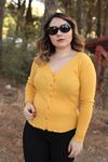 RENKTE PAMUKLU KAŞKORSE HARDAL HIRKA
